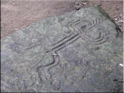 Petroglyph Corn God